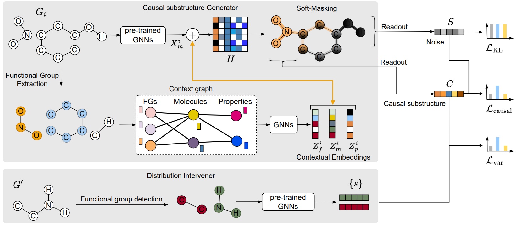 Graph Transformer Architecture